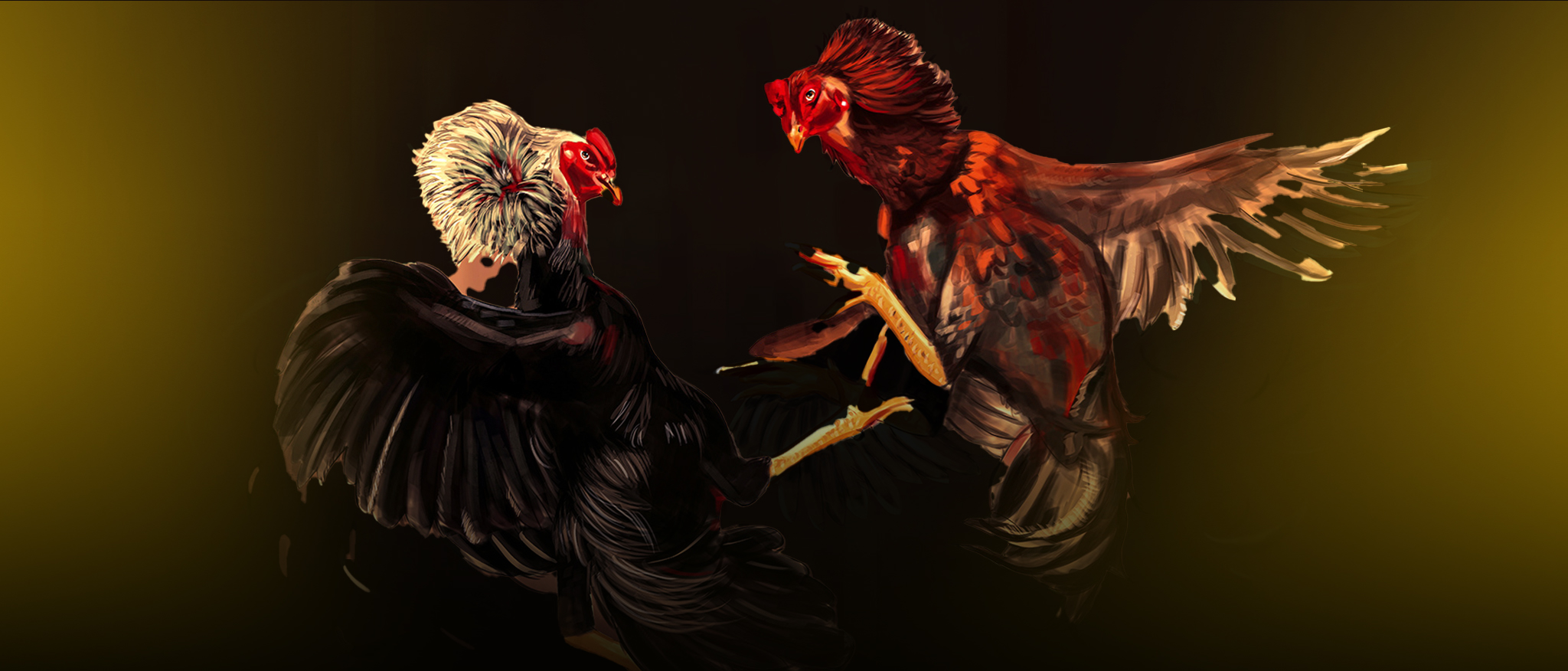cock